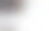 Blurred archive preview