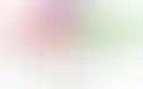 Blurred archive preview