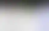 Blurred archive preview