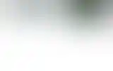 Blurred archive preview