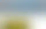Blurred archive preview