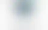 Blurred archive preview
