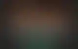 Blurred archive preview