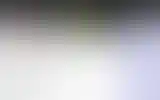 Blurred archive preview