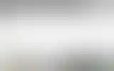 Blurred archive preview