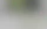 Blurred archive preview