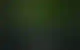 Blurred archive preview