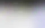 Blurred archive preview