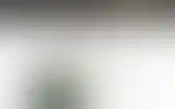 Blurred archive preview