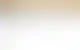Blurred archive preview