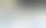 Blurred archive preview