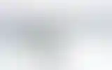 Blurred archive preview