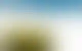 Blurred archive preview