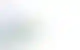 Blurred archive preview