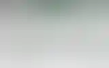 Blurred archive preview