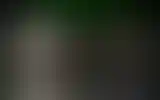 Blurred archive preview