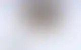 Blurred archive preview