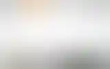 Blurred archive preview