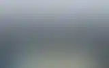 Blurred archive preview