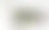 Blurred archive preview