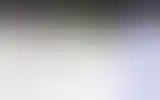 Blurred archive preview