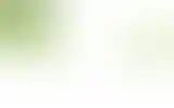 Blurred archive preview