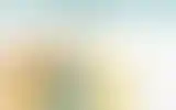 Blurred archive preview