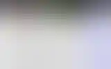 Blurred archive preview