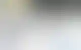 Blurred archive preview