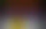 Blurred archive preview
