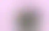 Blurred archive preview
