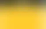 Blurred archive preview