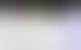 Blurred archive preview