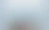 Blurred archive preview