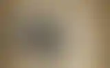 Blurred archive preview