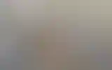 Blurred archive preview