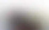 Blurred archive preview