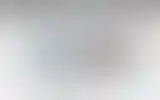 Blurred archive preview