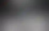 Blurred archive preview