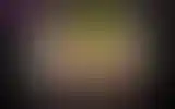 Blurred archive preview