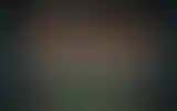 Blurred archive preview