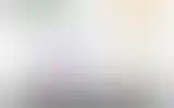 Blurred archive preview