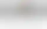 Blurred archive preview