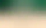Blurred archive preview