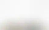 Blurred archive preview