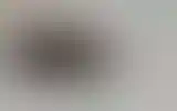 Blurred archive preview