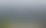 Blurred archive preview