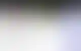 Blurred archive preview