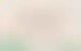 Blurred archive preview