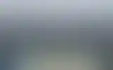 Blurred archive preview